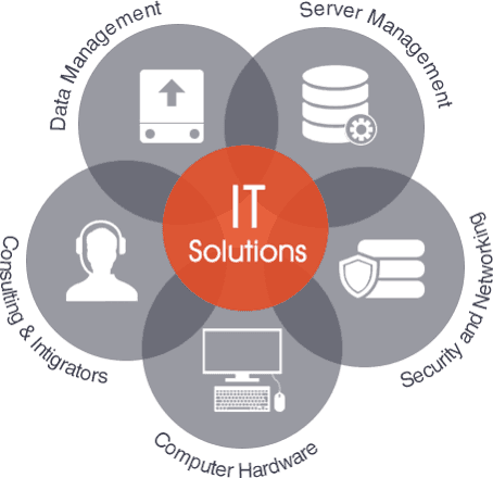 Diagram of IT solutions: hardware, servers, networking, data management and support